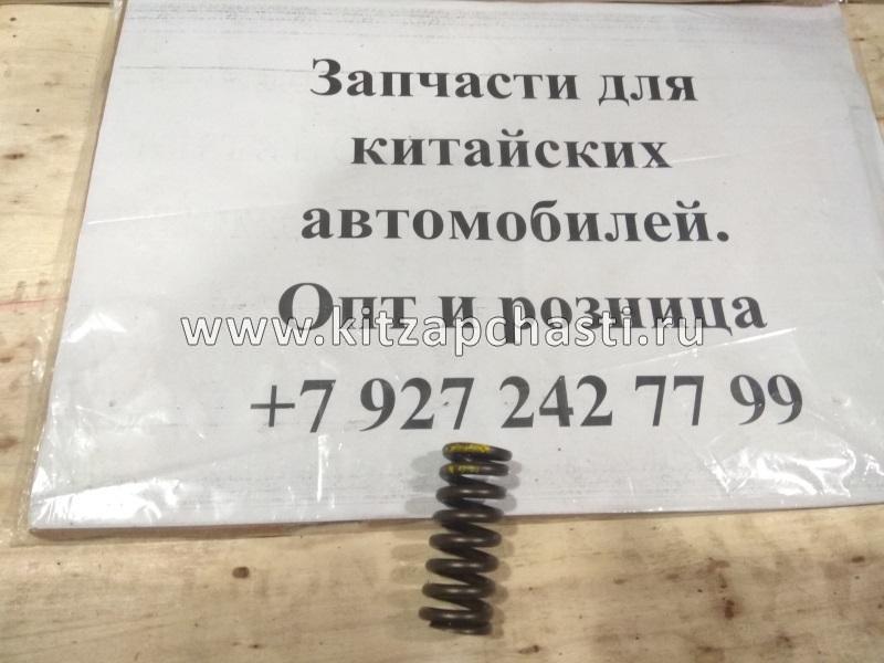 Пружина клапана ДВС Chery Tiggo FL, Vortex Tingo FL 481H-1007014BA